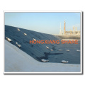 Negro HDPE plástico hoja LDPE Geomembrane Proveedores